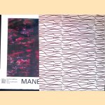Manessier door Claire Stoullig e.a.