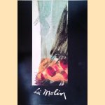 Lei Molin: Born in Holland, 1927: Self-taught Man door Bert Schierbeek