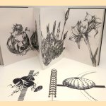 Lot of 10 sketchbooks
Remy Ludolphy
€ 200,00