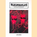 Wildflowers & Plants of Inland Australia door Anne Urban