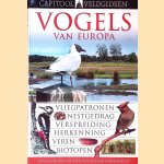 Capitool natuurgids vogels van Europa: Vliegpatronen, nestgedrag, verspreiding, herkenning, veren, biotopen
Rob Hume
€ 8,00 Capitool natuurgids vogels van Europa: Vliegpatronen, nestgedrag, verspreiding, herkenning, veren, biotopen
Rob Hume
€ 8,00