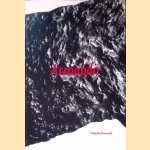 Armando: Ausstellung in der Hirschwirtscheuer in Künzelsau
Sylvia C. Weber
€ 10,00