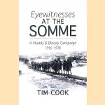 Eyewitnesses at the Somme: A Muddy and Bloody Campaign 1916 1918 door Tim Cook