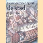De modernisering van de stad 1850-1914: De opkomst van de planmatige stadsontwikkeling in Nederland door Len de Klerk
