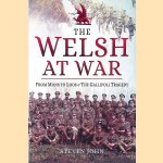 Welsh at War: From Mons to Loos and the Gallipoli Tragedy door Steven John