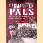 Carmarthen Pals. A History of the 15th (Service) Battalion the Welsh Regiment, 1914-1919 door Steven John