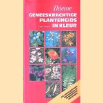 Geneeskrachtige plantengids in kleur: 315 natuurgetrouwe kleurenfoto's en 70 botanische tekeningen
Dieter Podlech
€ 6,00