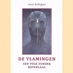 De Vlamingen: Een volk zonder bovenlaag
Joost Ballegeer
€ 9,00
