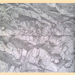 Der Himmel auf Erden: Bilder, Objekte, Plastiken von Ulrich Möckel door Dorothée Bauerle e.a.