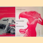 Mandarijnen op zwavelzuur + Supplement (2 delen) door Willem Frederik Hermans
