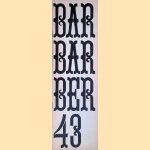 Barbarber 43: Tijdschrift voor teksten
J. Bernlef e.a.
€ 20,00