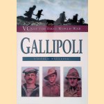 Gallipoli door Stephen Snelling