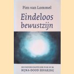 Eindeloos bewustzijn: een wetenschappelijke visie op de bijna-dood ervaring door Pim van Lommel