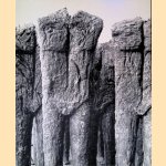Magdalena Abakanowicz: 31 October - 30 November 1990
Marlborough Fine Art
€ 15,00 Magdalena Abakanowicz: 31 October - 30 November 1990
Marlborough Fine Art
€ 15,00