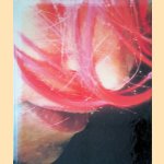 Himalaya: Pipilotti Rist, 50 kg
Cornelia Providoli
€ 20,00 Himalaya: Pipilotti Rist, 50 kg
Cornelia Providoli
€ 20,00