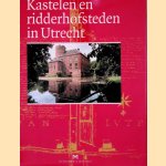 Kastelen en ridderhofsteden in Utrecht door B. - en anderen Olde Meierink