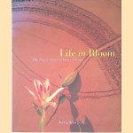 Life in Bloom: The New Concept of Flower Design door Keita Kawasaki
