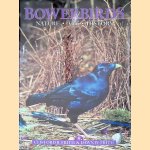 Bowerbirds: Nature, Art and History door Clifford B. Frith e.a.