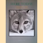 Here Today: Portraits of Our Vanishing Species door Susan Middleton e.a.