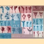 Karl Blossfeldt: Working Collages door Ann Wilde e.a.
