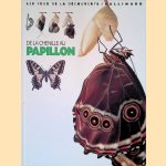 De la chenille au papillon door Paul Whalley
