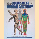 The Color Atlas of Human Anatomy
Vanio Vannini e.a.
€ 15,00 The Color Atlas of Human Anatomy
Vanio Vannini e.a.
€ 15,00
