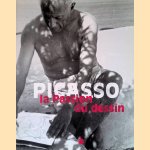 Picasso, la passion du dessin door Marie-Noëlle Delorne Picasso, la passion du dessin door Marie-Noëlle Delorne