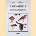 Zangvogels door Karel St'astný