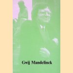 Gwij Mandelinck: visuele bezetenheid door Rudolf van de Perre Gwij Mandelinck: visuele bezetenheid door Rudolf van de Perre