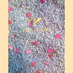 Daan van Golden door Carel Blotkamp