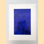 Yves Klein: Le Monochrome door Werner Ruhnau e.a.