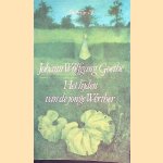Het lijden van de jonge Werther door Johann Wolfgang von Goethe