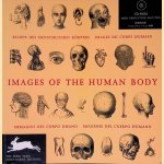 Bilder des menschlichen Körper (Book+CD-ROM) door Pepin van Rooijen