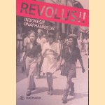 Revolusi! Indonesië onafhankelijk door Harm Stevens e.a.