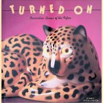 Turned on: Decorative Lamps of the Fifties
Leland Payton e.a.
€ 10,00 Turned on: Decorative Lamps of the Fifties
Leland Payton e.a.
€ 10,00