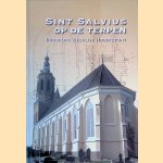 Sint Salvius op de terpen: Dronrijps heerlijk hoogtepunt door Dirk J. de Vries