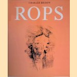 Felicien Rops: eine Monographie mit 136 Bildwiedergaben
Charles Brison
&euro;&nbsp;20,00