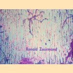 Ronald Zuurmond: Schilderijen paintings door Hans den Hartog Jager