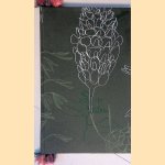 Vallend hout: roman
Miek Zwamborn
&euro;&nbsp;10,00