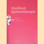 Handboek systeemtherapie door Anke Savenije