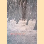 Ben jij het, ik? Gedichten door Kees Ouwens