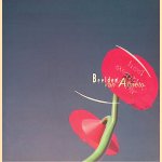 Beelden van Almelo door Han Kobes e.a.