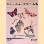 Dag- en nachtvlinders door Sepp