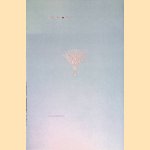 Zilvertype Corps 15: briefwisseling tussen J.F. van Royen en S.H. de Roos over het ontwerp van de Zilvertype, 1914-16 door Jan D. Boterman e.a.