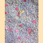 Daan van Golden door Carel Blotkamp