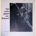 Het oude gelaat van Brabant door Martien Coppens