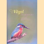 V&ouml;gel in der Grafschaft Bentheim: eine kommentierte &Uuml;bersicht aller beobachteten Vogelarten door Paul Knolle e.a.