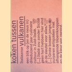 Koken tussen Italiaanse vulkanen: een blik op (en de neus in) drieduizend jaar culinaire cultuur in Zuid-Itali&euml;
Ko Sliggers
&euro;&nbsp;20,00