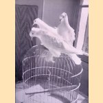 Henri Cartier Bresson: Het beslissende moment - door Willem Sandberg