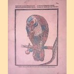 Centsprenten: Nederlandse volks- en kinderprenten = Catchpennyprints: Dutch popular- and childrenprints door C.F. van Veen